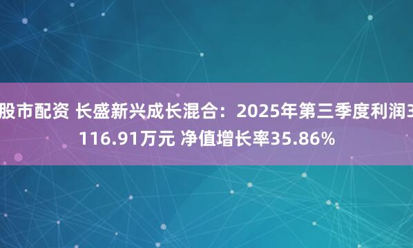 股市配资 长盛新兴成长混合：2025年第三季度利润3116.91万元 净值增长率35.86%