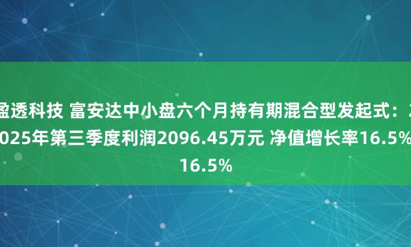 盈透科技 富安达中小盘六个月持有期混合型发起式：2025年第三季度利润2096.45万元 净值增长率16.5%