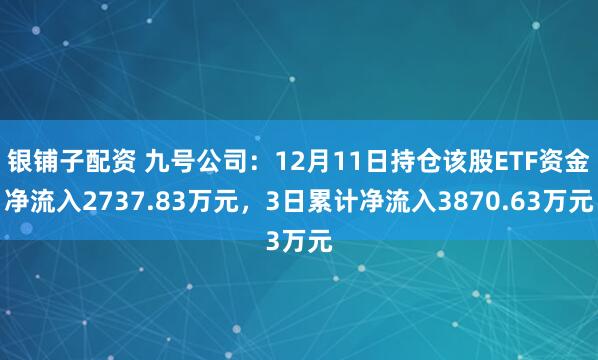 银铺子配资 九号公司：12月11日持仓该股ETF资金净流入2737.83万元，3日累计净流入3870.63万元