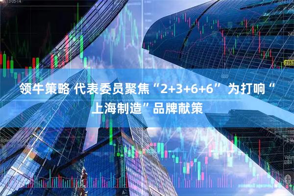 领牛策略 代表委员聚焦“2+3+6+6” 为打响“上海制造”品牌献策